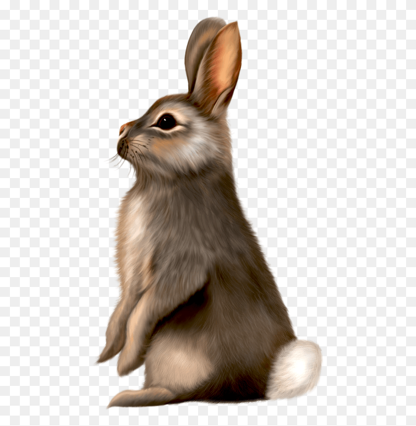 471x801 Painted Brown Bunny Clipart Brown Easter Bunny Clip Art, Dog, Pet, Canine HD PNG Download