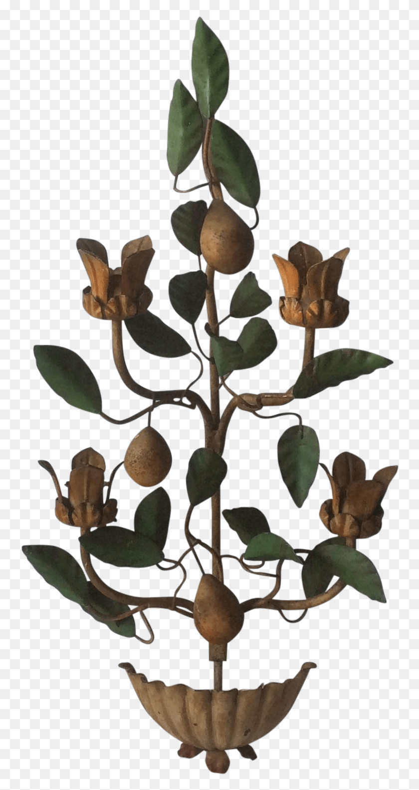 760x1522 Painted Tole Wall Sconce With Alabaster Pears On Chairish Southern Magnolia, Plant, Acanthaceae, Flower Descargar Hd Png