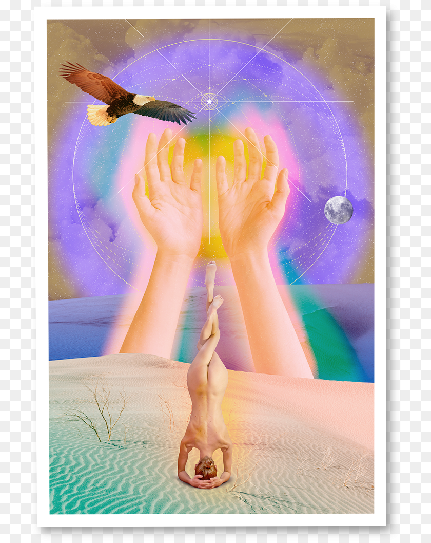 Painting, Animal, Bird, Person, Body Part PNG