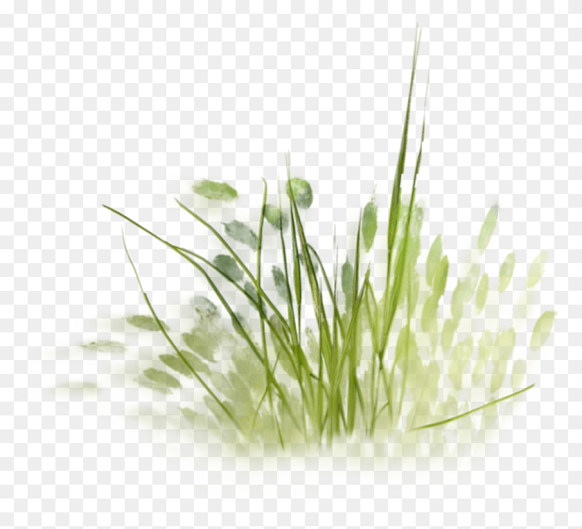 1080x976 Painting Architecture Transprent Free Grass Watercolor, Plant, Leaf, Vegetation HD PNG Download