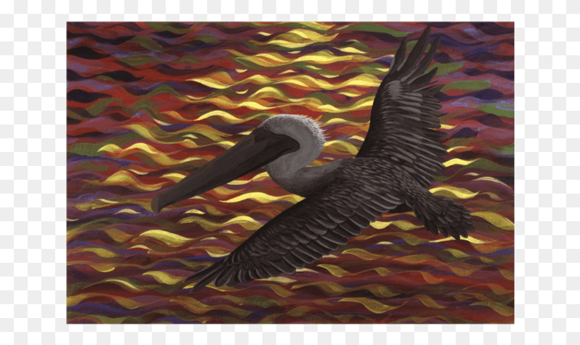 650x439 Painting By Stephen Kline Pelican, Bird, Animal, Beak HD PNG Download