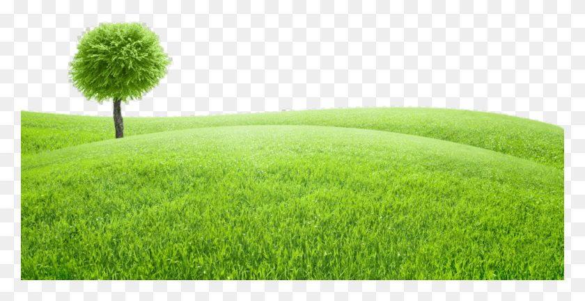 998x478 Paisaje Pasto High Resolution Grass Field, Plant, Lawn, Vegetation HD PNG Download