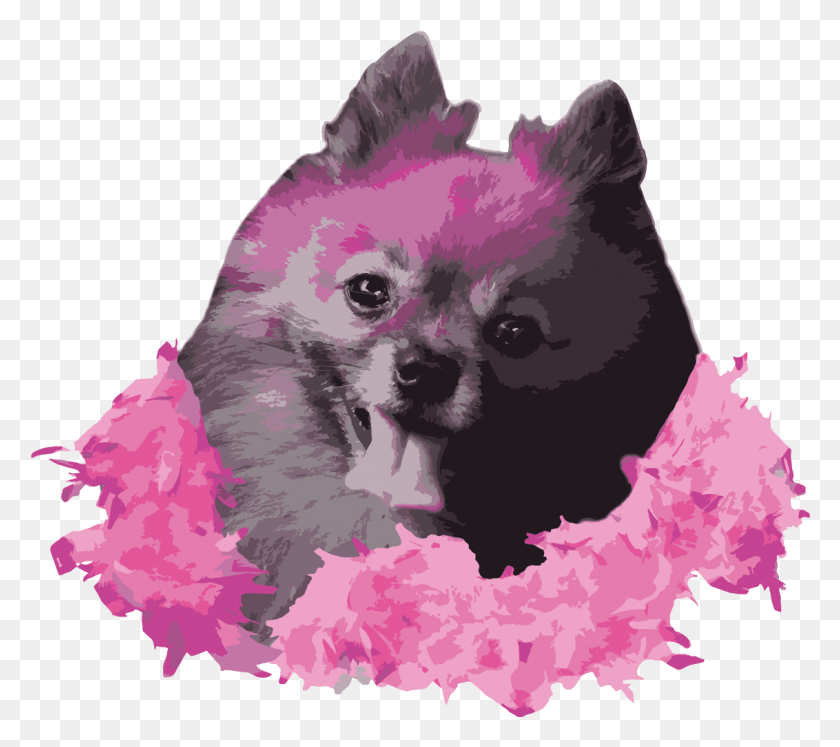 1132x998 Palabra De Diva Chihuahua, Clothing, Apparel, Feather Boa HD PNG Download
