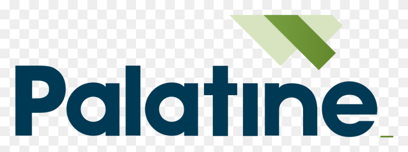 994x323 Palatine Impact Logo Cross, Text, Symbol, Trademark HD PNG Download
