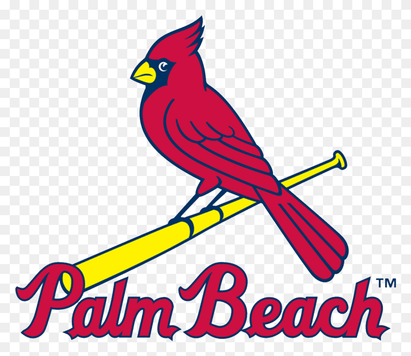 1089x934 Descargar Png Palm Beach Cardinals Logo St Louis Cardinals Pájaro En Murciélago, Animal, Cardenal, Jay Hd Png
