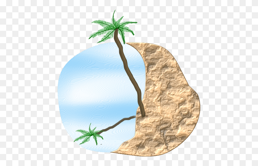 467x479 Palm Beach Svg Clip Arts 600 X 587 Px, Plant, Flower, Blossom HD PNG Download