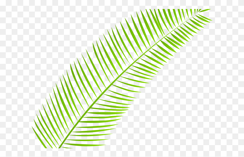 625x481 Palm Branch Cliparts Clip Art, Leaf, Plant, Green HD PNG Download