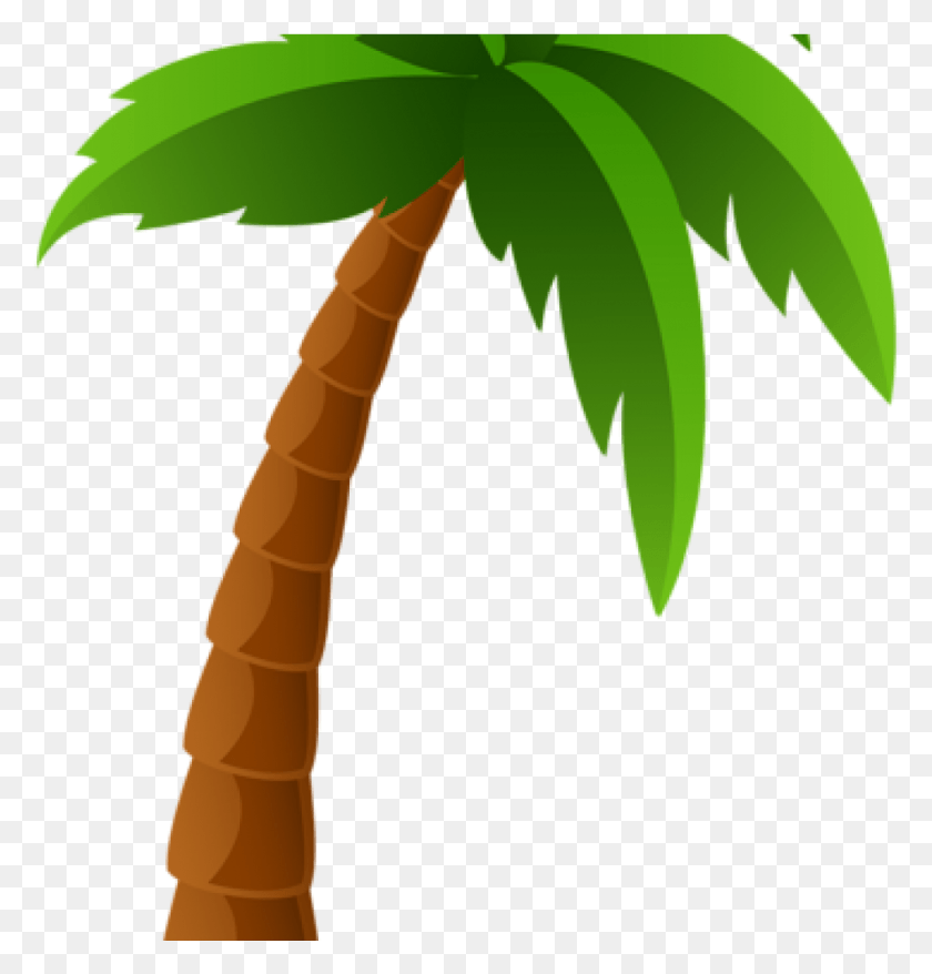 977x1025 Palm Clipart Balloon Clipart Hatenylo Palm Trees Clipart, Plant, Leaf, Tree HD PNG Download