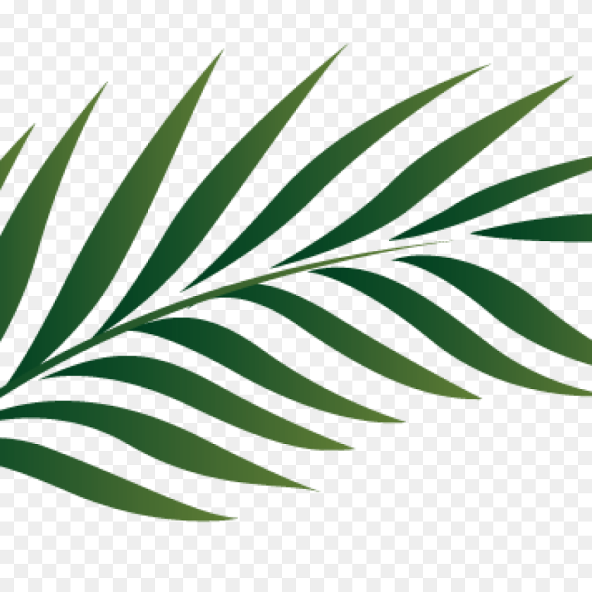 1024x1024 Palm Clipart Pencil Clipart House Clipart Online Download, Leaf, Plant, Tree, Green Sticker PNG
