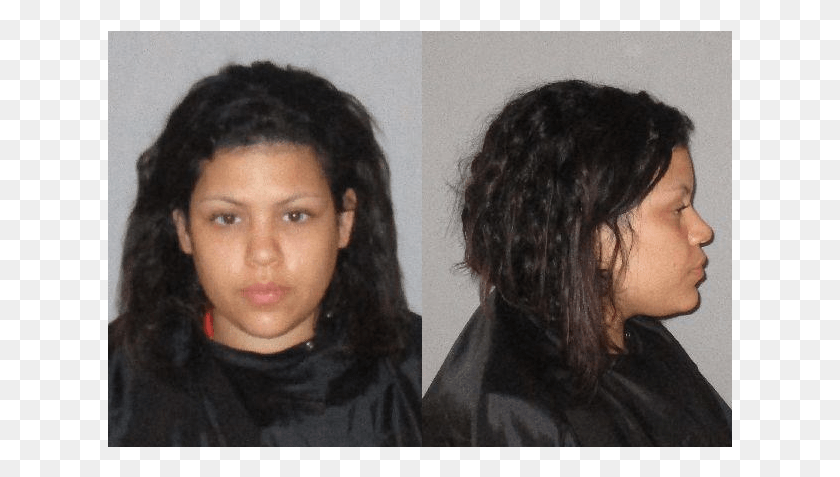 625x417 Palm Coast Woman Arrested On Three Counts Of Animal Girl, Face, Person, Human HD PNG Download