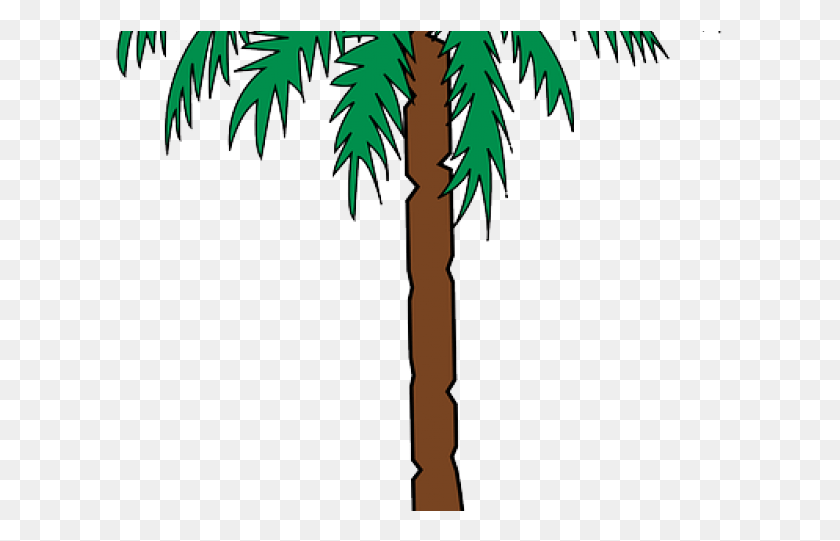 610x481 Пальмовый Герб, Дерево, Растение, Пальмовое Дерево Hd Png Скачать