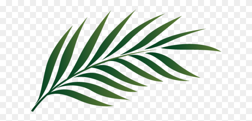 638x343 Palm Leaf Fold And Cut Craft Dltkbiblecom Palm Leaf, Green, Plant, Leaf HD PNG Download