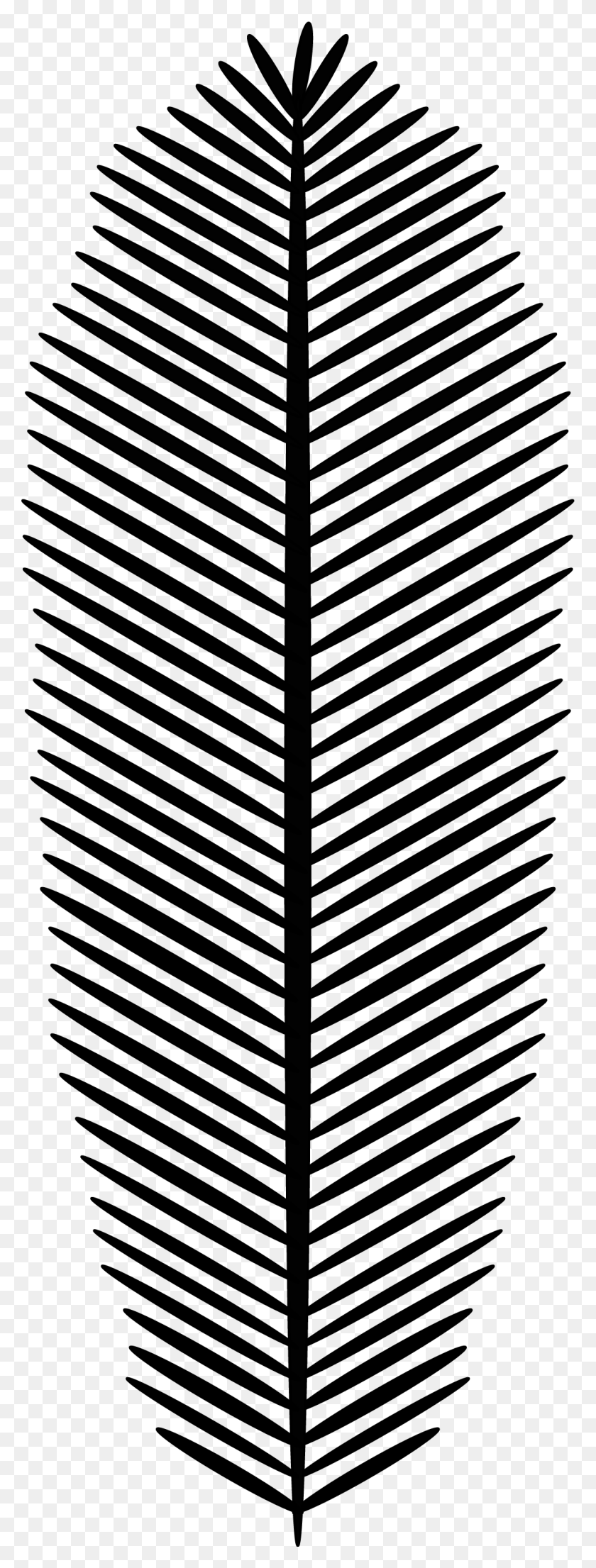 1123x3097 Palm Leaf Monochrome, Pattern, Ornament HD PNG Download