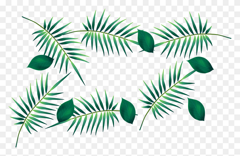 3695x2299 Palm Leaf Watercolour Transparent Images, Green, Vegetation, Plant HD PNG Download