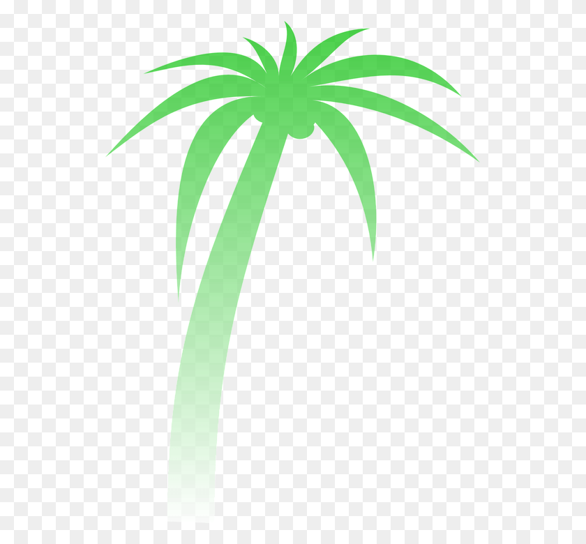 537x720 Palm Palmera Degradado Verde Tropicales Rbol Palm Tree Clip Art, Plant, Green, Aloe HD PNG Download