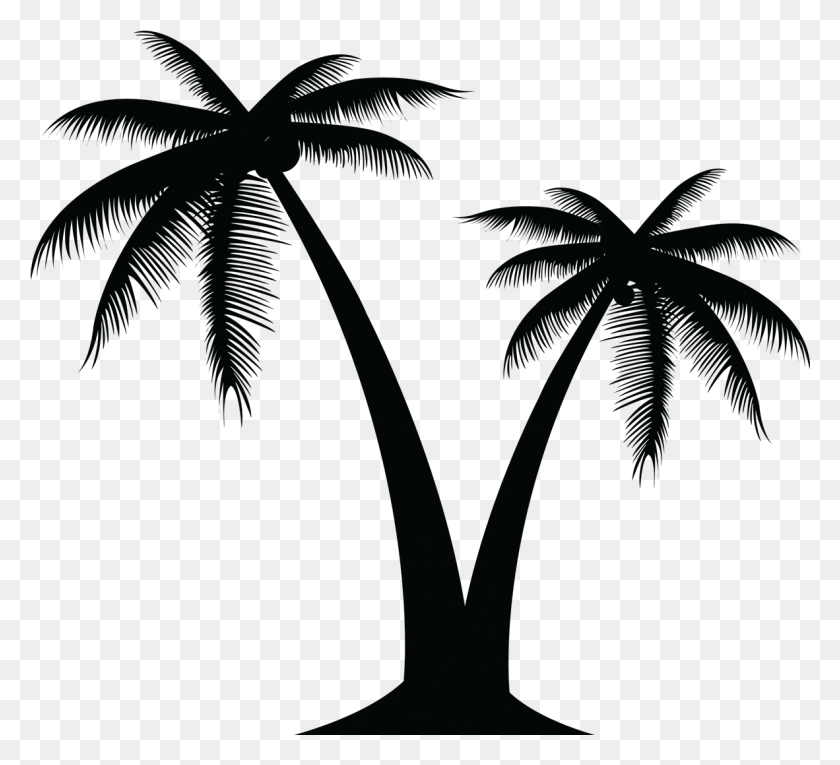 1182x1069 Силуэт Пальмы На Getdrawings Com Free Для Кокосовой Пальмы Логотип Вектор, Природа, На Открытом Воздухе, Освещение Hd Png Скачать