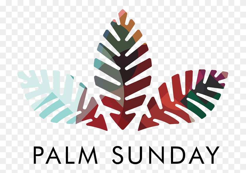 723x531 Palm Sunday, Leaf, Plant, Fern HD PNG Download