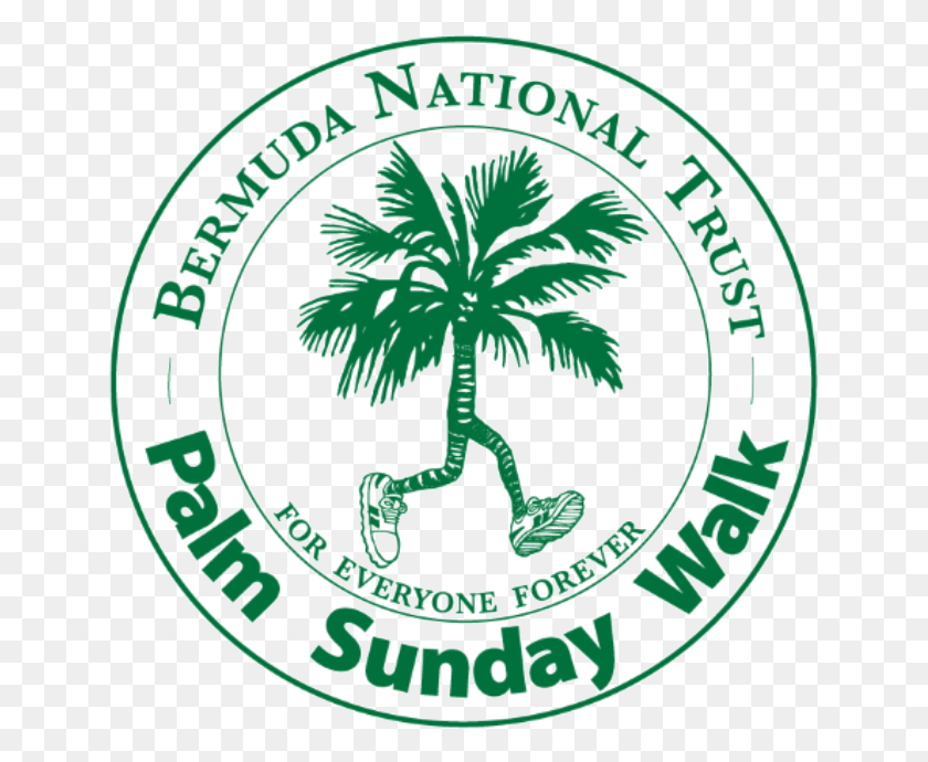 643x630 Palm Sunday Walk Tree, Plant, Logo, Symbol HD PNG Download