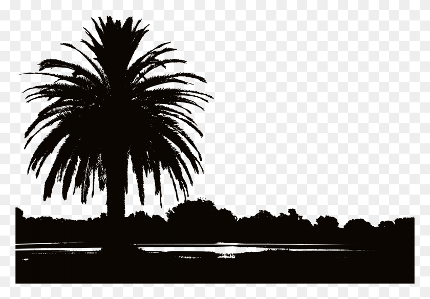 2336x1572 Palm Sunset Silhouette Picture Stock Dates As Recommended By Prophet Muhammad, Nature, Outdoors, Night HD PNG Download
