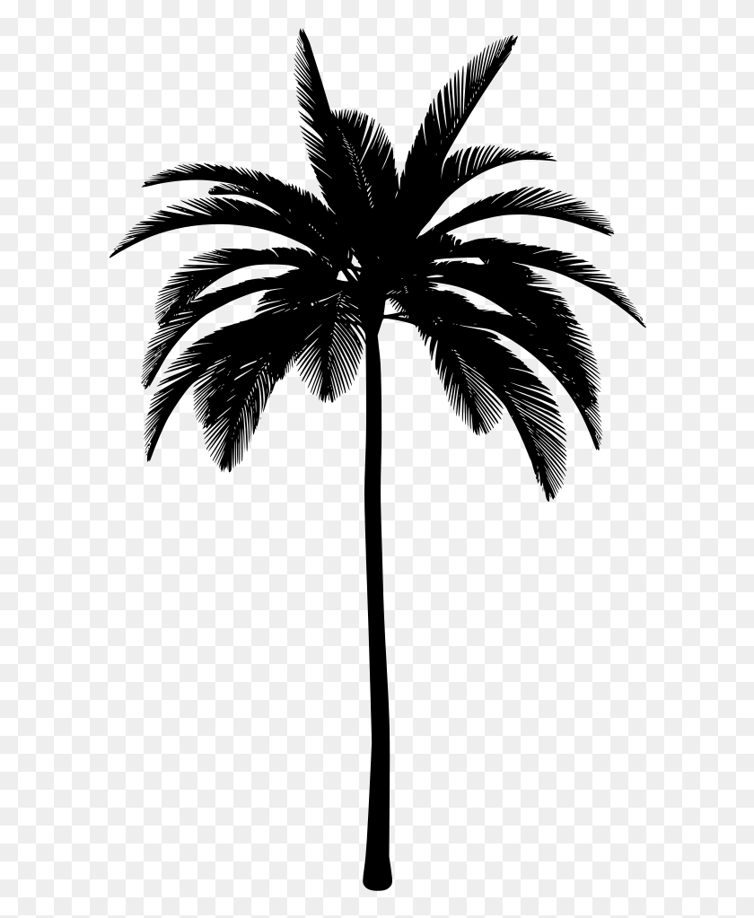 600x963 Palm Tree Aesthetic, Gray, World Of Warcraft HD PNG Download