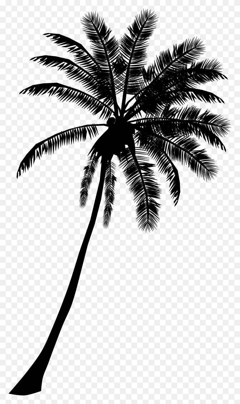 1381x2400 Palm Tree Banner Black And White Palm Tree Silhouette Clipart, Gray, World Of Warcraft HD PNG Download