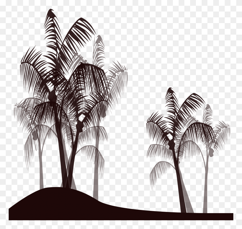 2677x2518 Palm Tree Black Dibujos De Palmeras En Blanco Y Negro, Tree, Plant, Arecaceae HD PNG Download