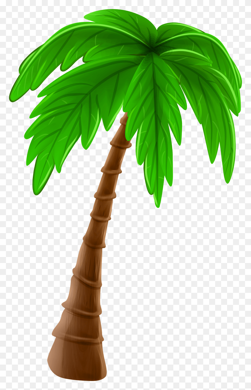 4917x7853 Palm Tree Cartoon Clip Art Image Coconut Tree Art HD PNG Download