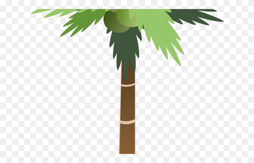 640x480 Palm Tree Cartoons, Plant, Tree, Arecaceae HD PNG Download