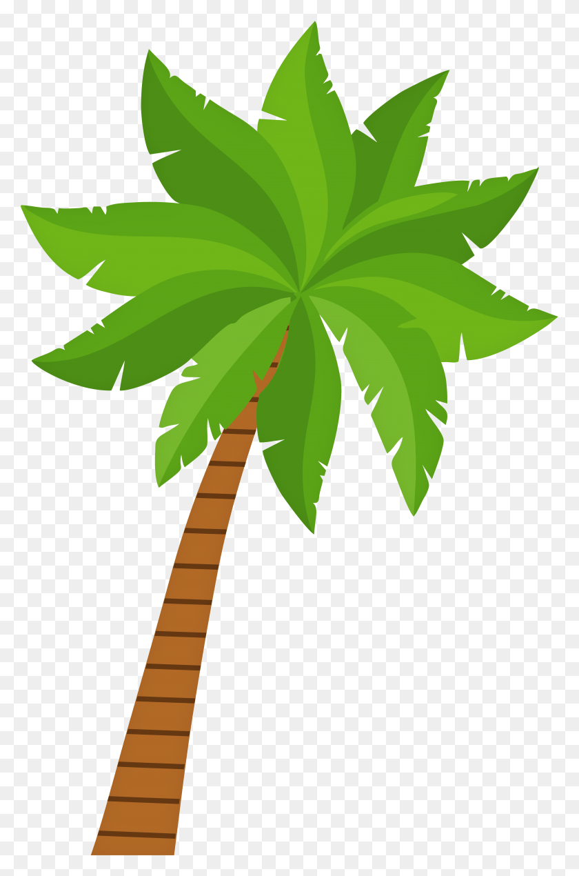 5102x7917 Palm Tree Clip Art Clip Art, Leaf, Plant, Tree HD PNG Download