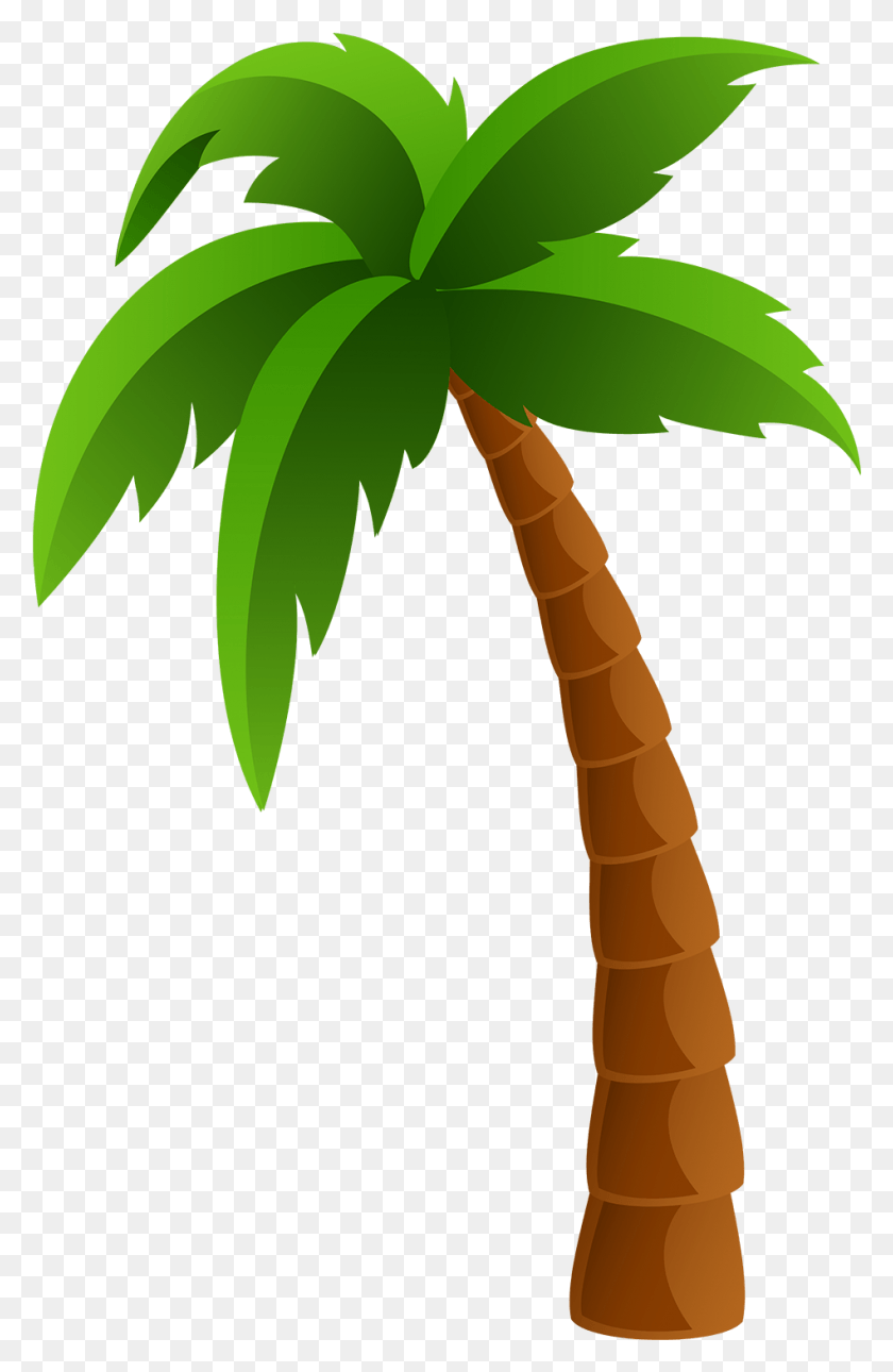 949x1497 Palm Tree Clipart, Plant, Tree, Leaf HD PNG Download