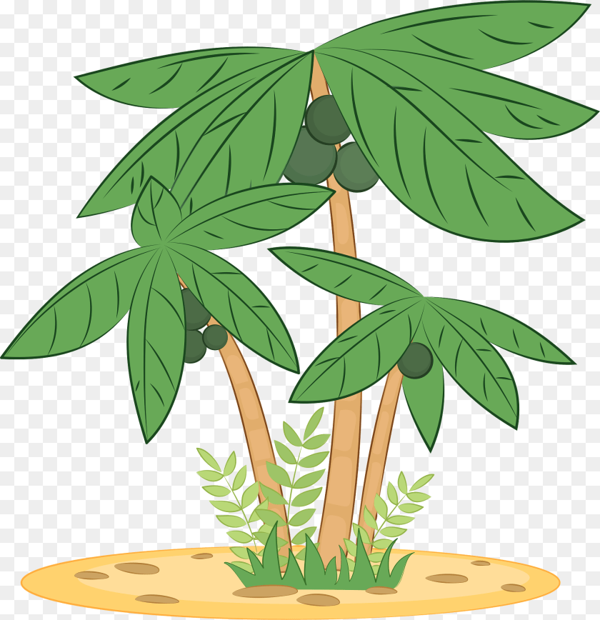 1859x1920 Palm Tree Clipart, Vegetation, Plant, Leaf, Outdoors Transparent PNG