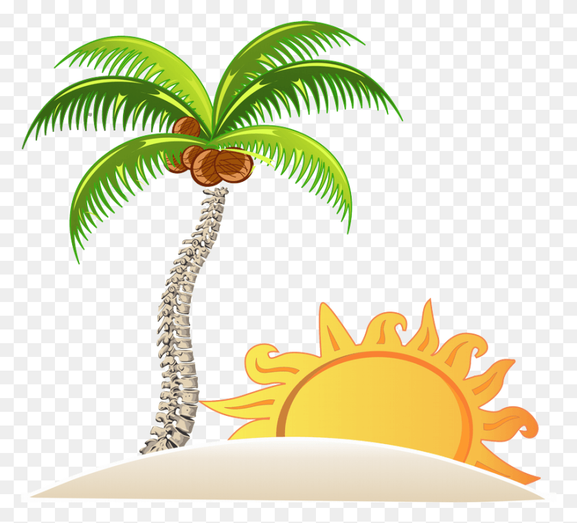 853x768 Palm Tree Clipart Goa Theme House In The Beach, Plant, Tree, Nut HD PNG Download