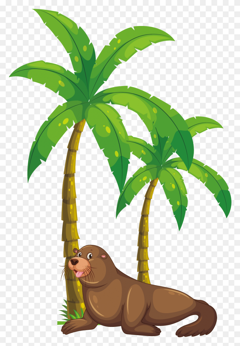 972x1435 Palm Tree Clipart Kerala Coconut Tree Coconut Palm Tree Animated, Plant, Tree, Arecaceae HD PNG Download