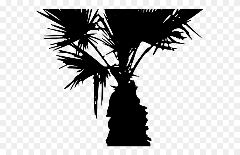 589x481 Palm Tree Clipart Shadow Silhouette, Nature, Outdoors, Night HD PNG Download
