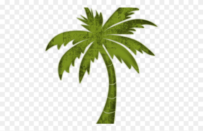 475x481 Palm Tree Clipart Transparent Florida State Role Play, Leaf, Plant, Maple Leaf HD PNG Download
