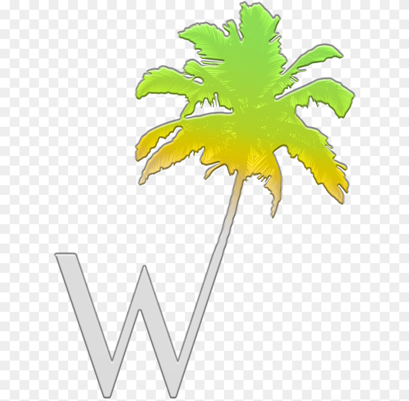 624x823 Palm Tree Icon, Leaf, Palm Tree, Plant, Nature PNG