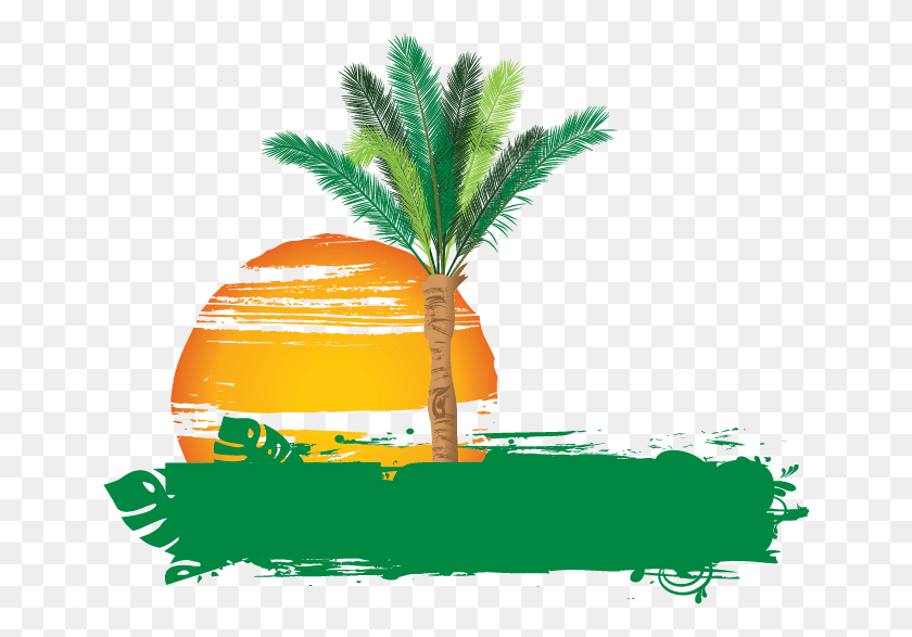 651x527 Palm Tree Logo 101 Clip Art Palm Tree Logo Transparent, Tree, Plant, Arecaceae HD PNG Download
