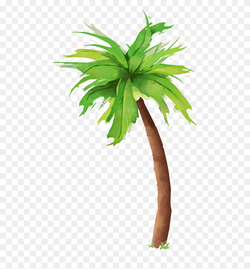 506x842 Palm Tree Over Water Gallery Aljanh, Plant, Tree, Arecaceae HD PNG Download