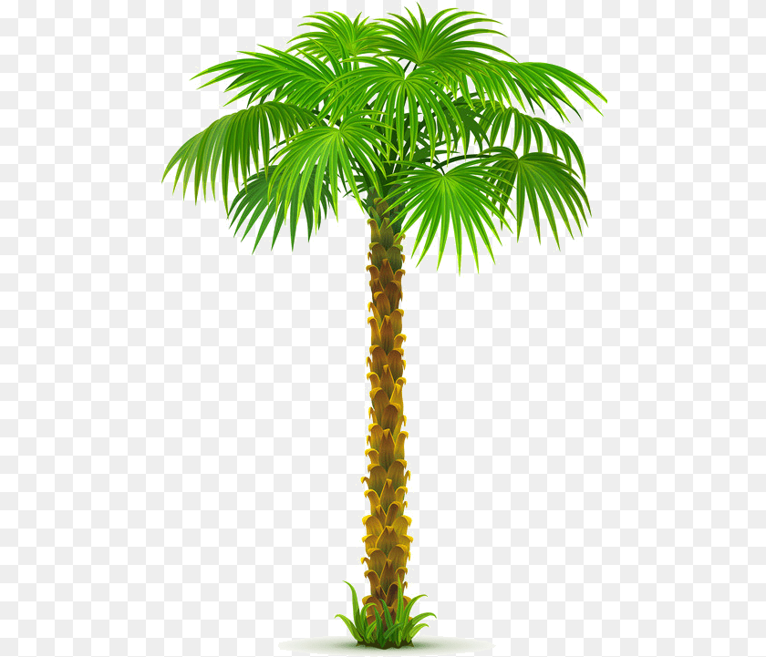 Palm Tree Paper Palm Tree Palm Tree Gif, Palm Tree, Plant, Leaf Sticker PNG