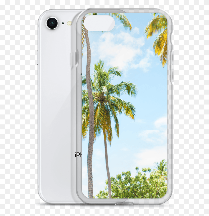 571x808 Palm Tree Phone Case Smartphone, Tree, Plant, Outdoors HD PNG Download