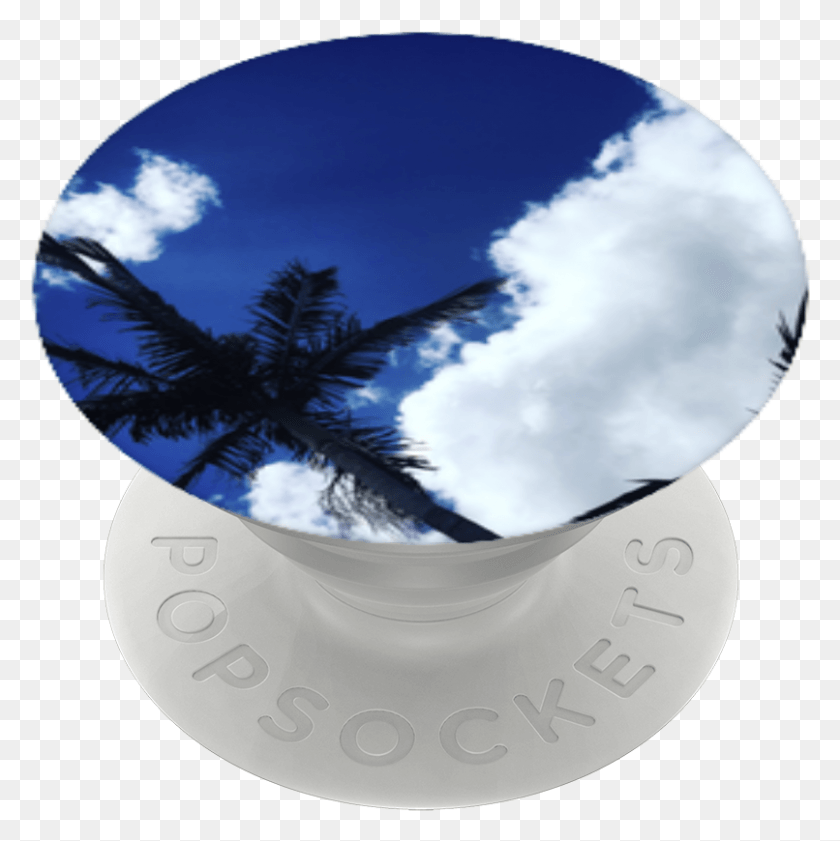 806x808 Palm Tree Popsockets Circle, Tree, Plant, Sphere HD PNG Download