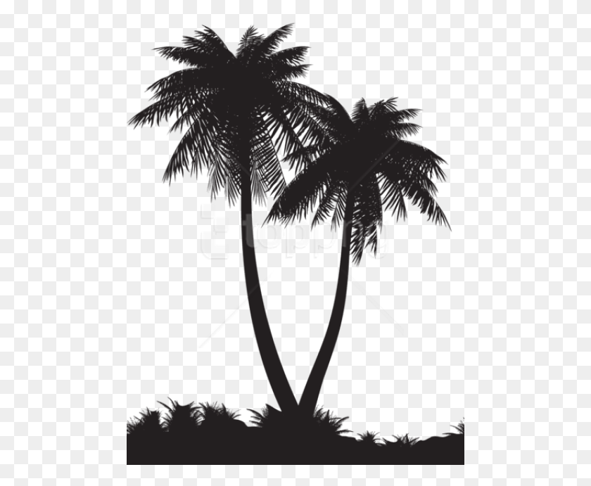 481x631 Palm Tree Silhouette, Poster, Advertisement HD PNG Download