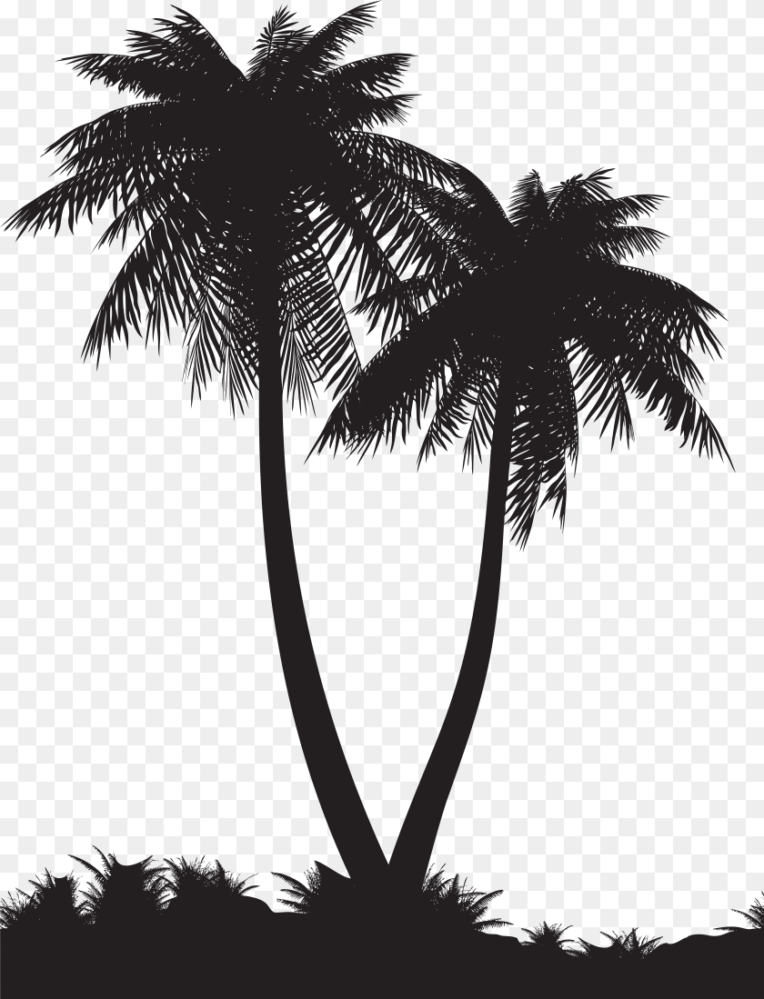 6004x7858 Palm Tree Silhouette, Palm Tree, Plant, Outdoors Sticker PNG