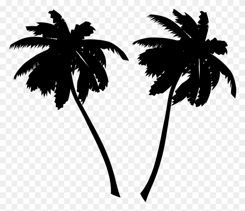 1280x1091 Palm Tree Silhouette Palm Trees, Gray, World Of Warcraft HD PNG Download