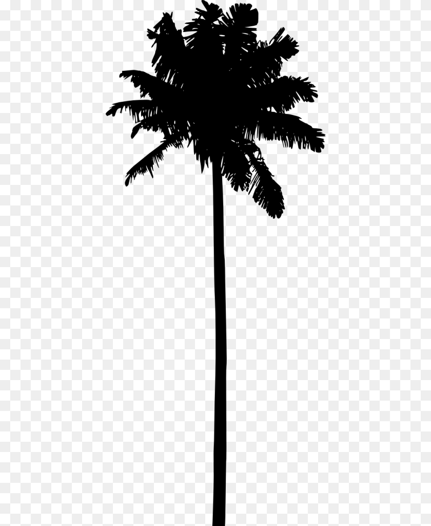 429x1024 Palm Tree Silhouette Vol Silhouette Palm Tree Vector, Gray PNG