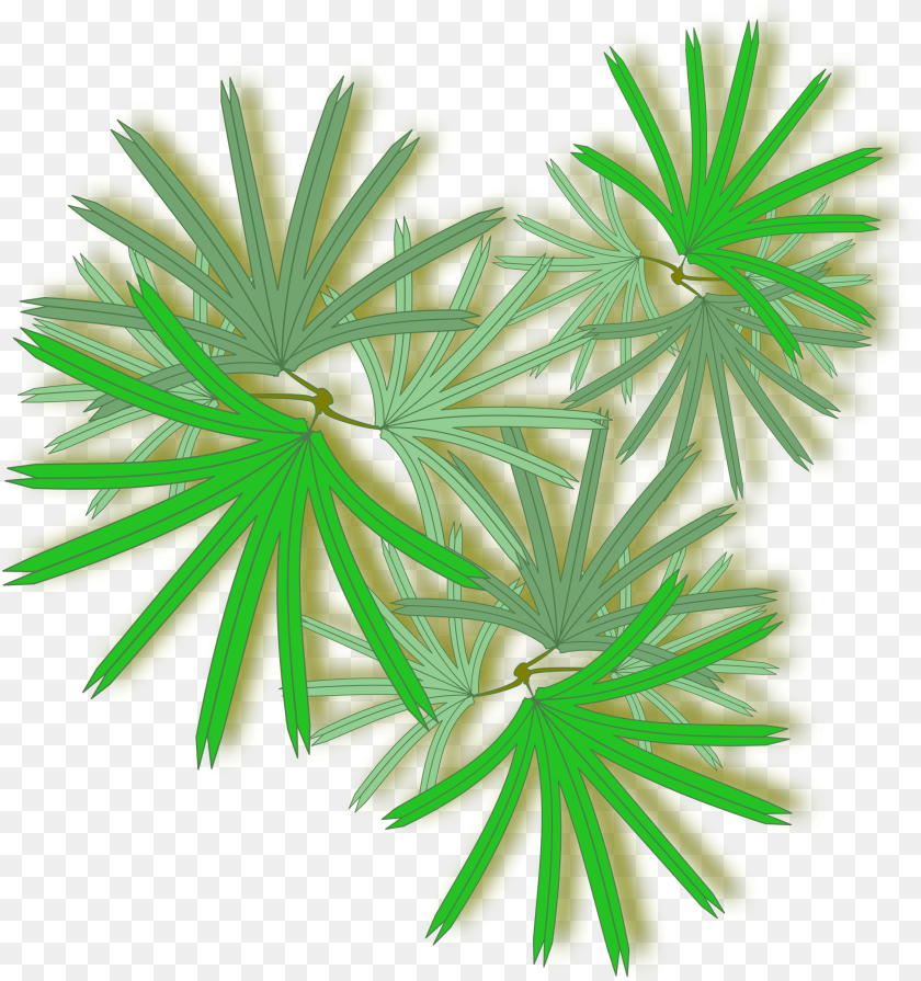 Palm Tree Top Palm Tree From The Top, Green, Plant, Art, Graphics Clipart PNG