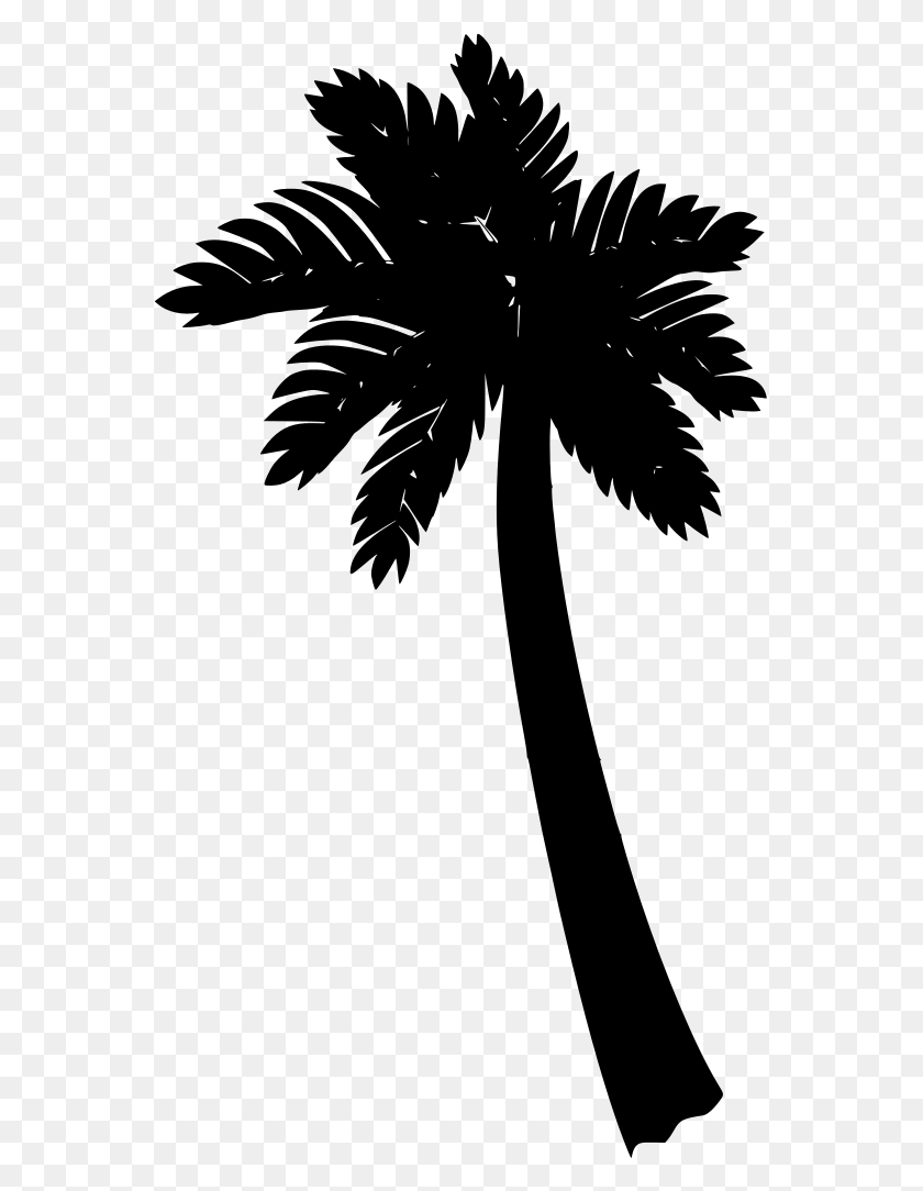 557x1024 Palm Trees, Gray, World Of Warcraft HD PNG Download