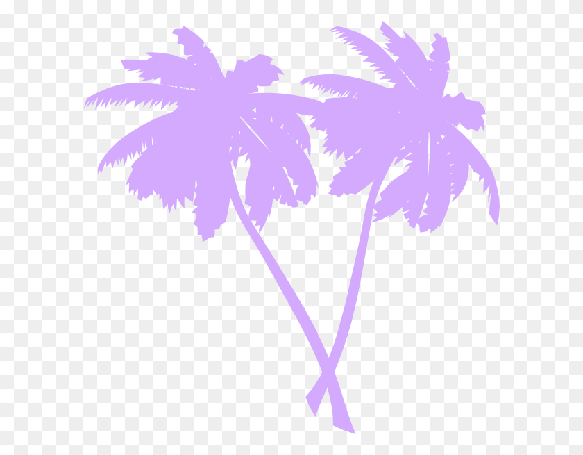 600x595 Palm Trees, Graphics, Plant HD PNG Download
