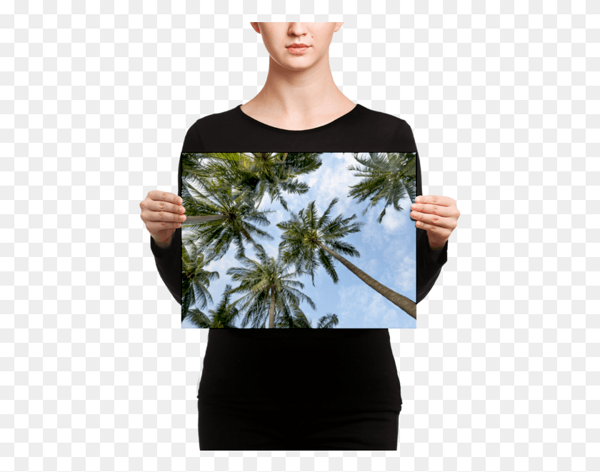 451x601 Palm Trees On A Sunny Day Canvas, Plant, Clothing, Apparel HD PNG Download
