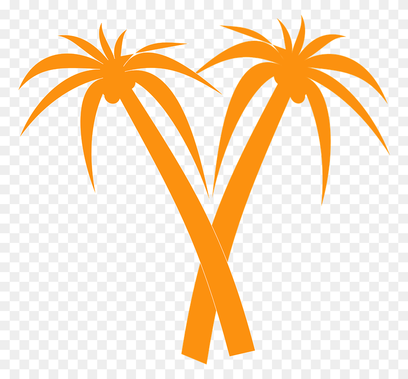 767x720 Пальмы Оранжевый Тропический Силуэт Скрещенные Пальмы V-Образная Пальма, Растение, Цветок, Цветение Png Скачать
